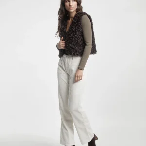 BAILY poodle CHOCOLAT